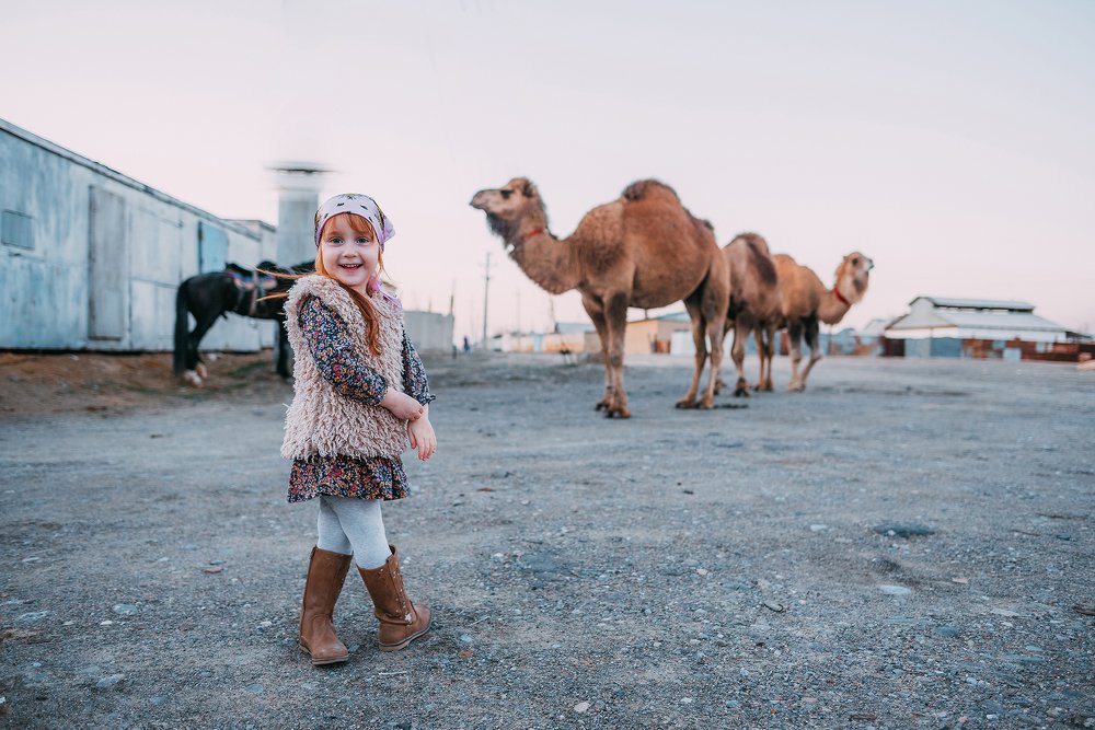 Фотография автора Дарья Шевченко