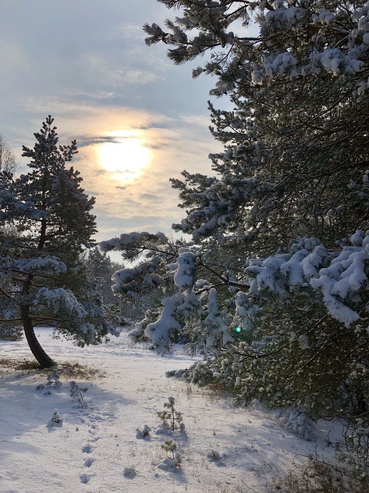 Photograph by Jelena