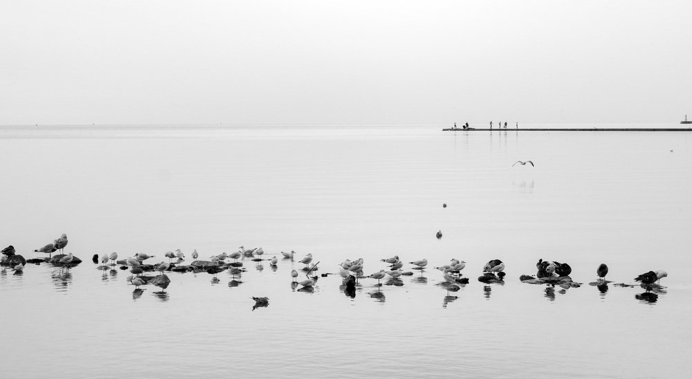 Photograph by Ольга