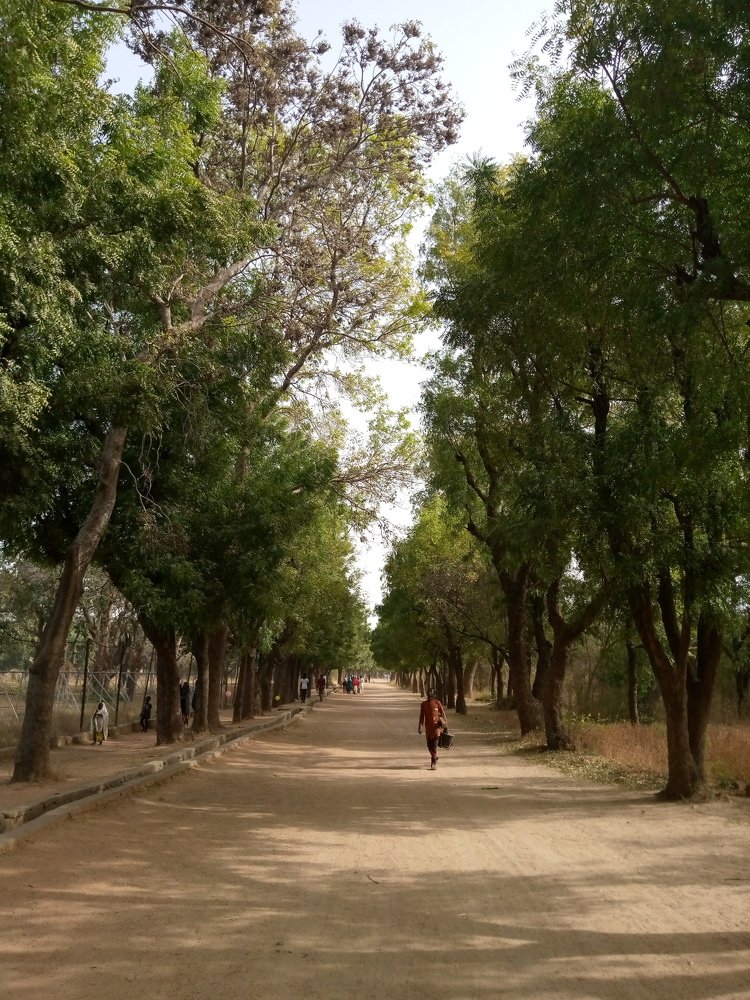 Photo #4406143