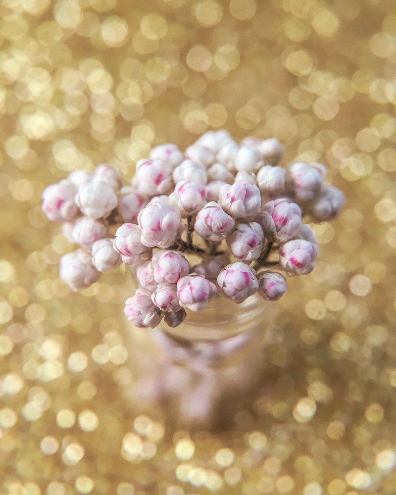 Photograph by Кристина Ковальчук