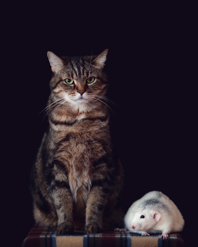 Photograph by Владислава Протащик