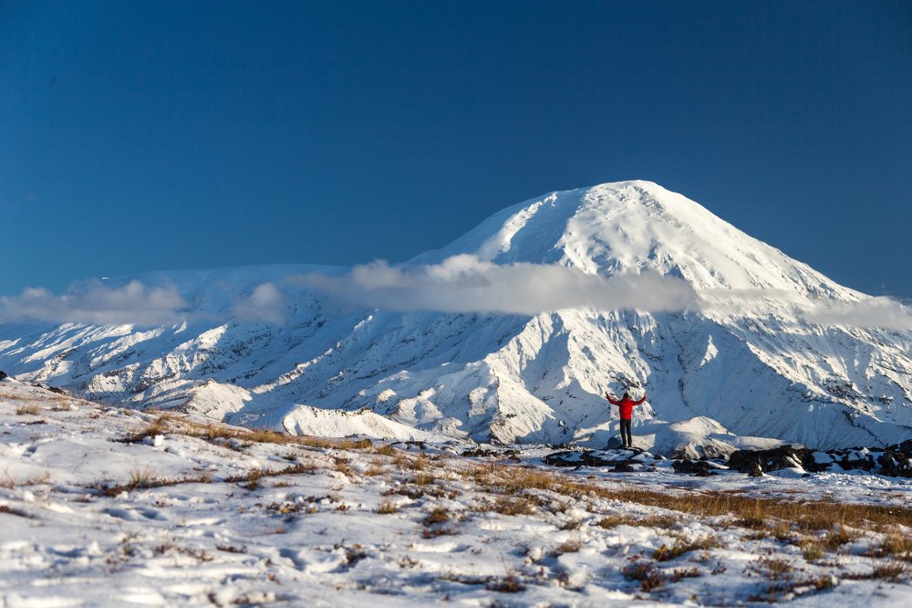 Перед гигантом