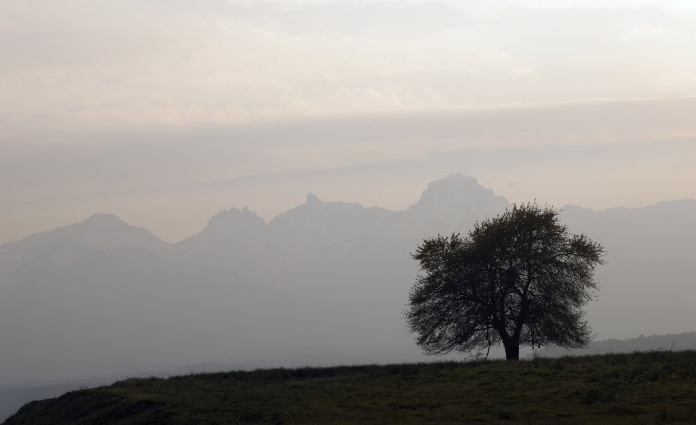 Фотография автора Михаил Пшеннов