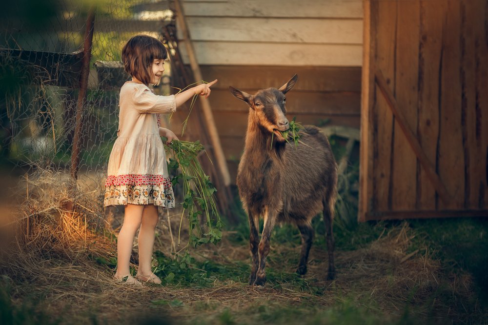 Photograph by Костюк Зоя