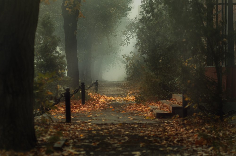 Photograph by Александр Майоров