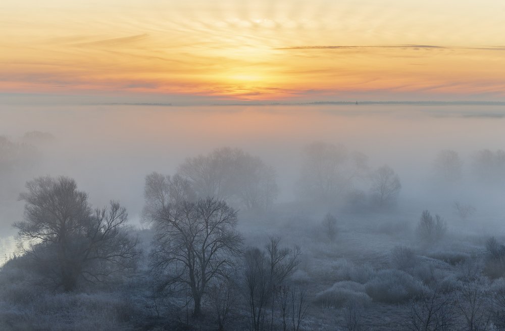 Photograph by Дмитрий Новоселов