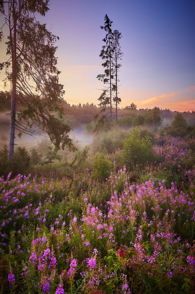 Photograph by Ян Кемпи