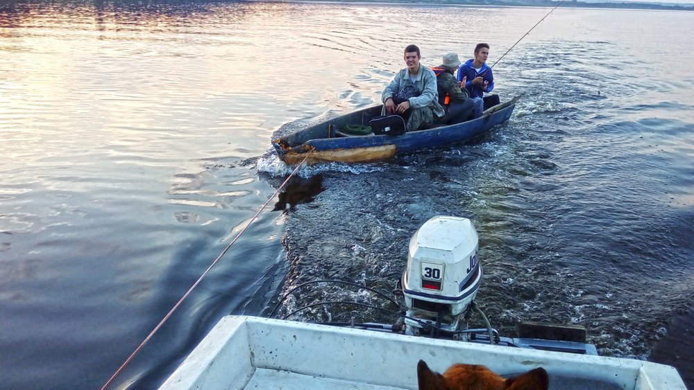 Photo #4406434