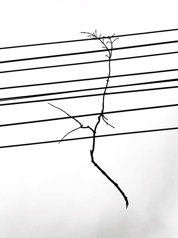 Адаптация (v.4)