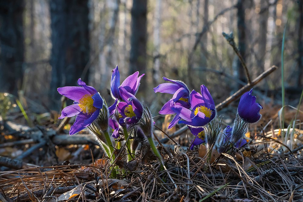 С любимыми не расставайтесь!