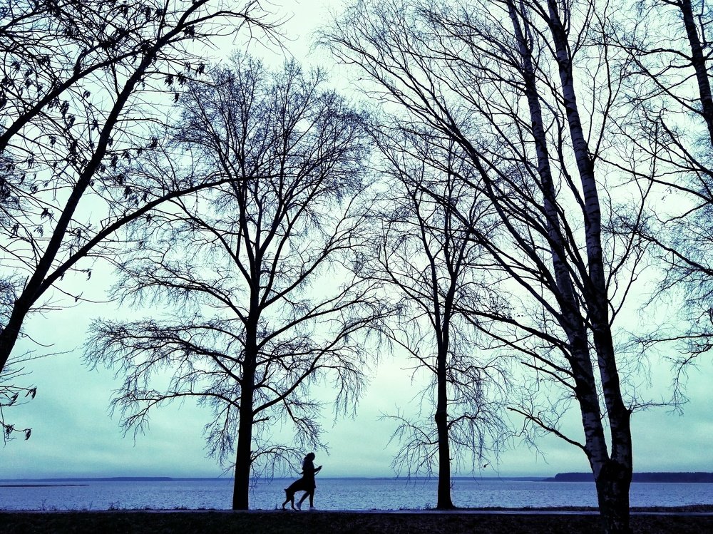 Photograph by Антон Грибоедов