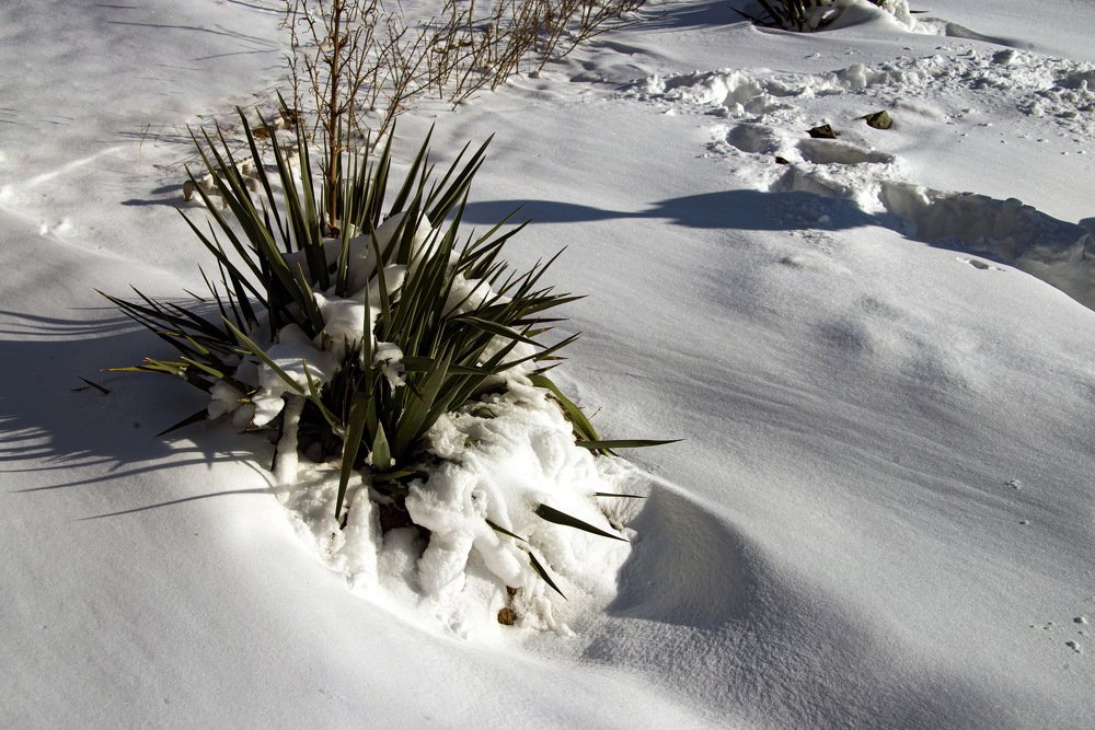 Photograph by Анатолий Чикчирный