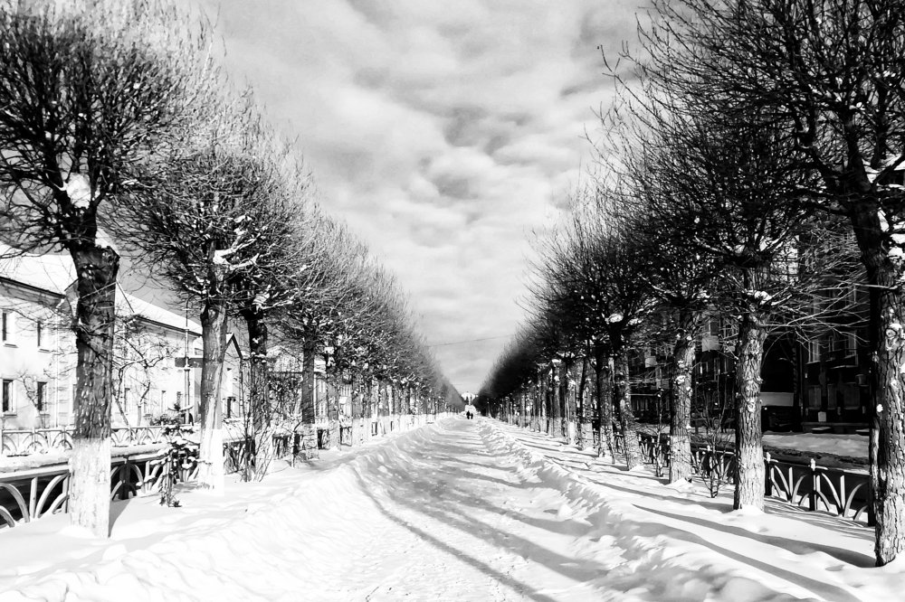 Photograph by Алексей Антонов