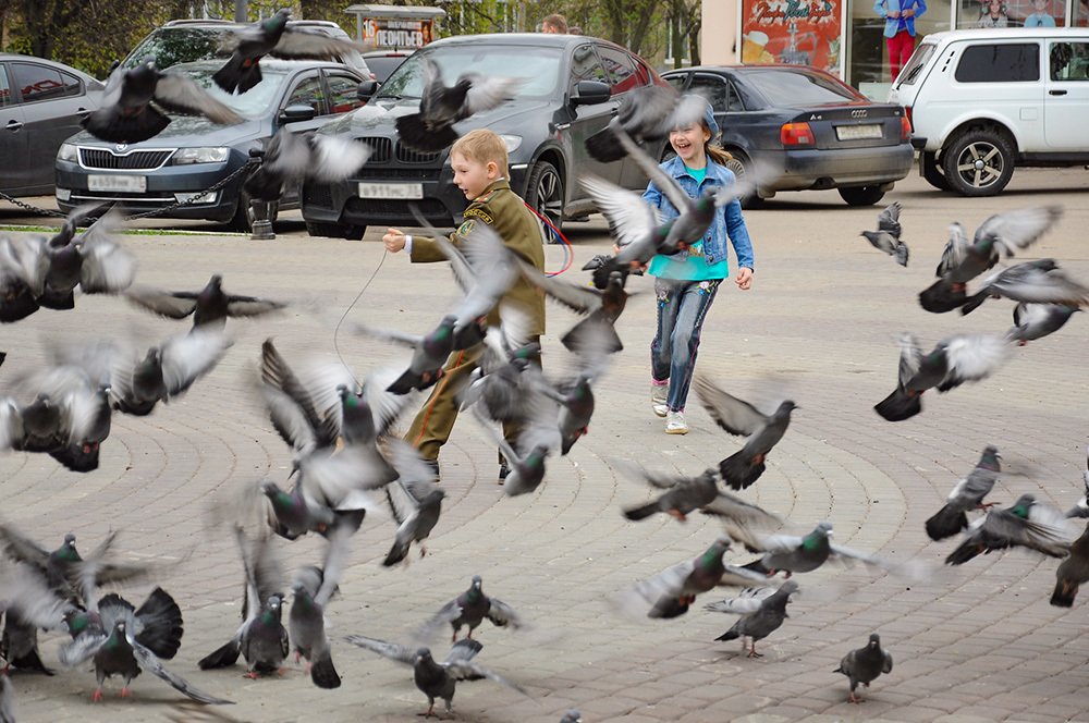 Photograph by Эдуард Шадров