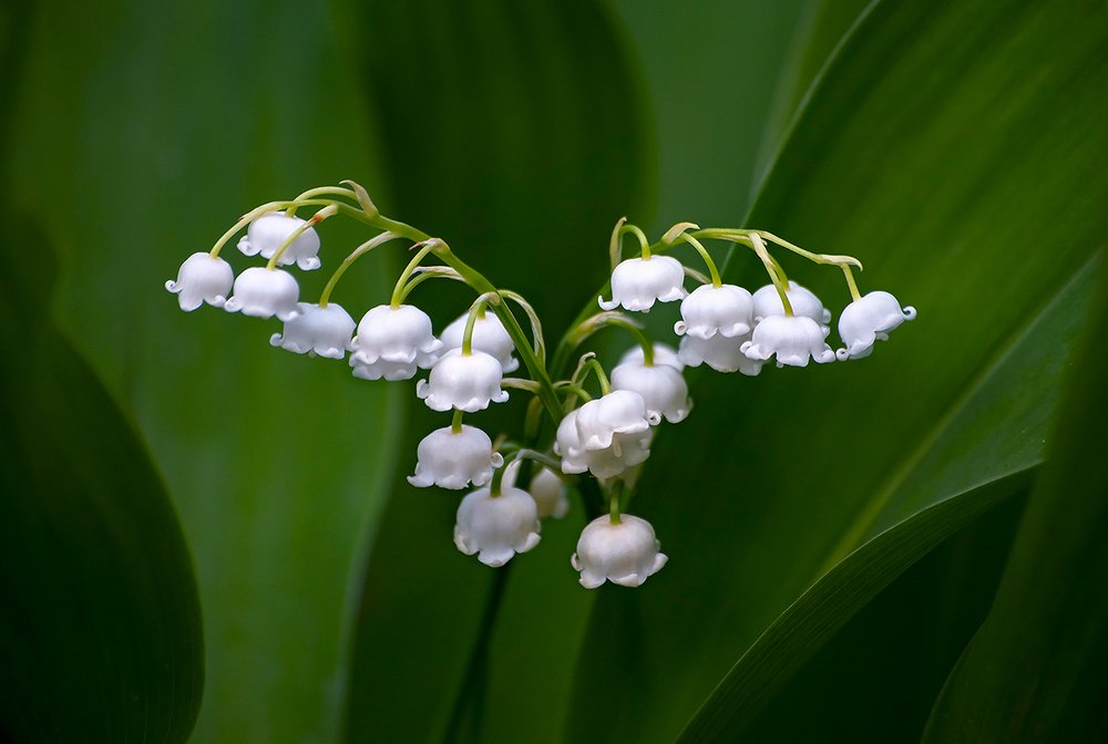 Салют весне!