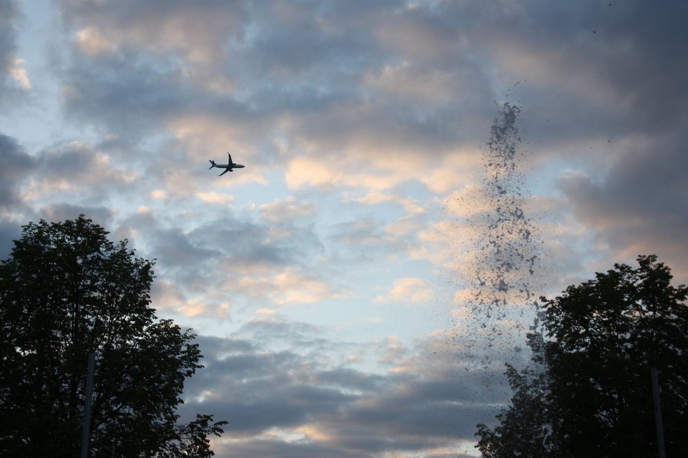Photograph by Надежда Трушанова