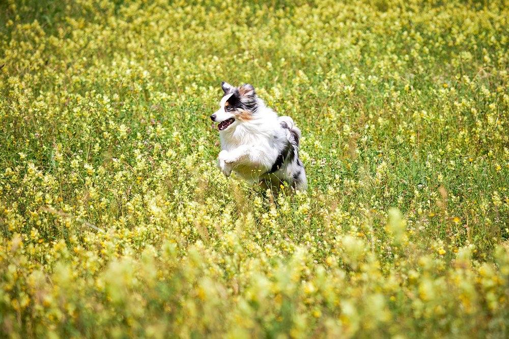 Photograph by Florian Raab