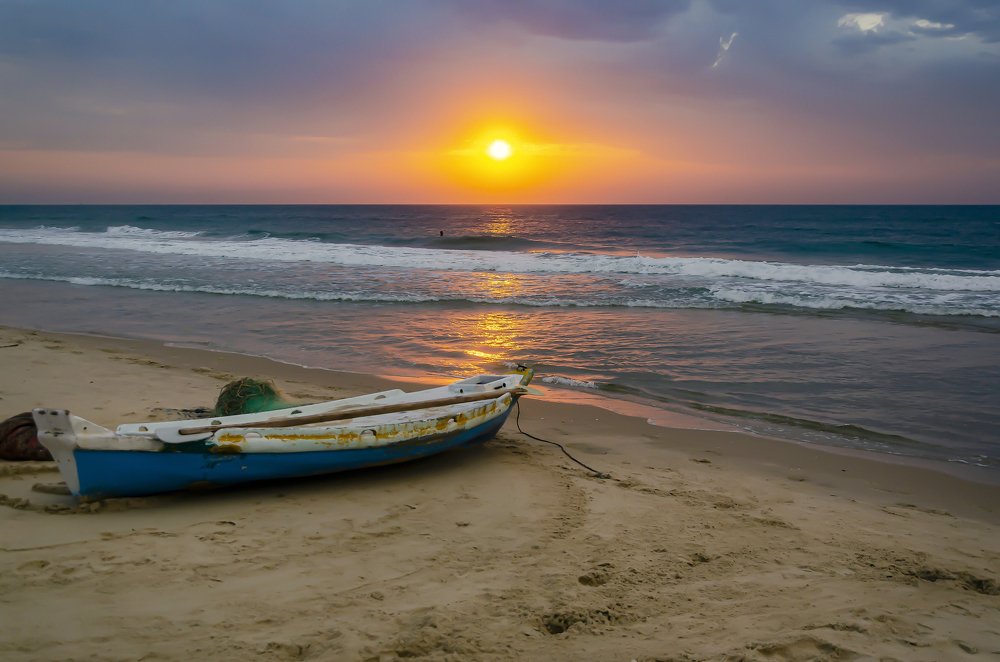 Photograph by Fathi Ibrahim