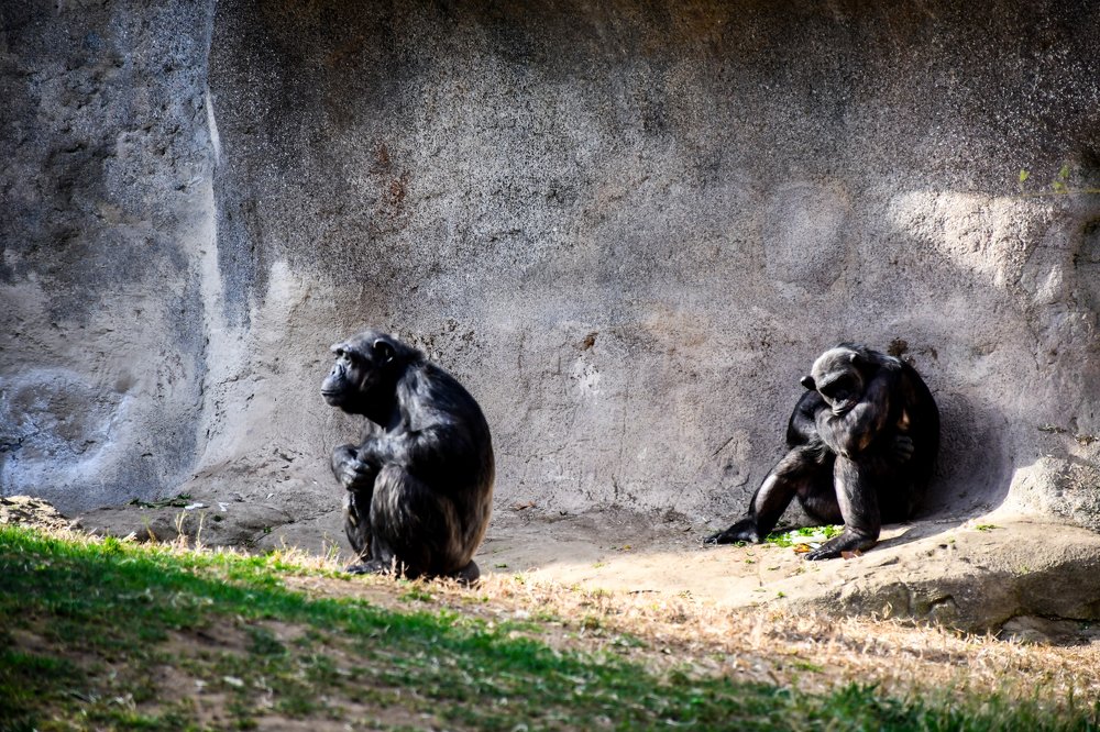 Photograph by Дана Жукова