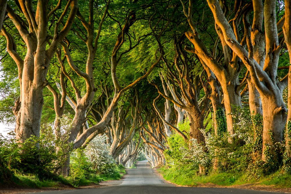 Photograph by Michael Roth