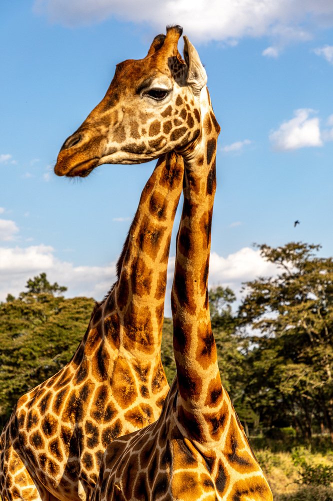 Photograph by АНДРЕЙ ВАГАНОВ