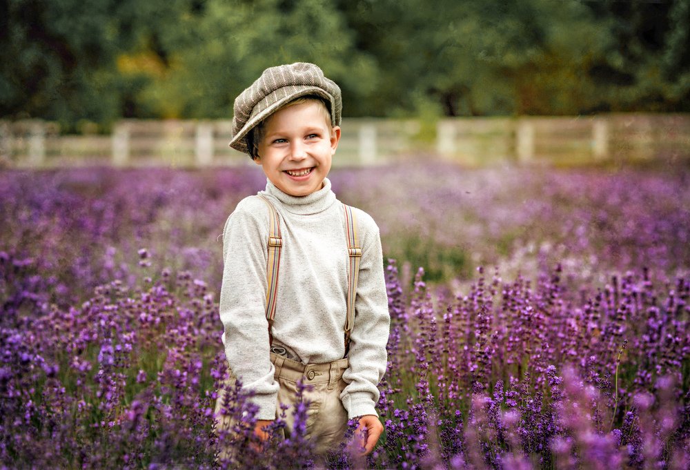 Собирая лаванду