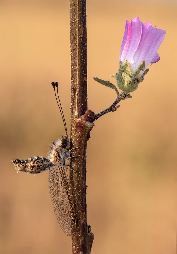 Photograph by Игорь ФУММ