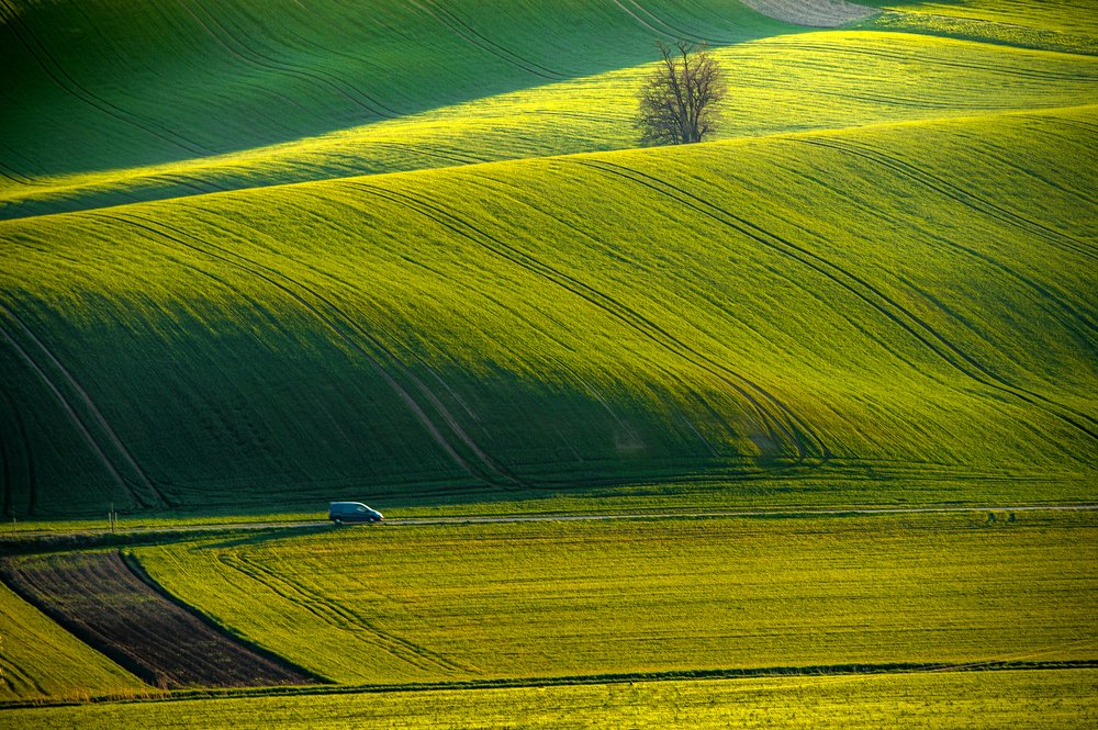 Photograph by ПАВЕЛ