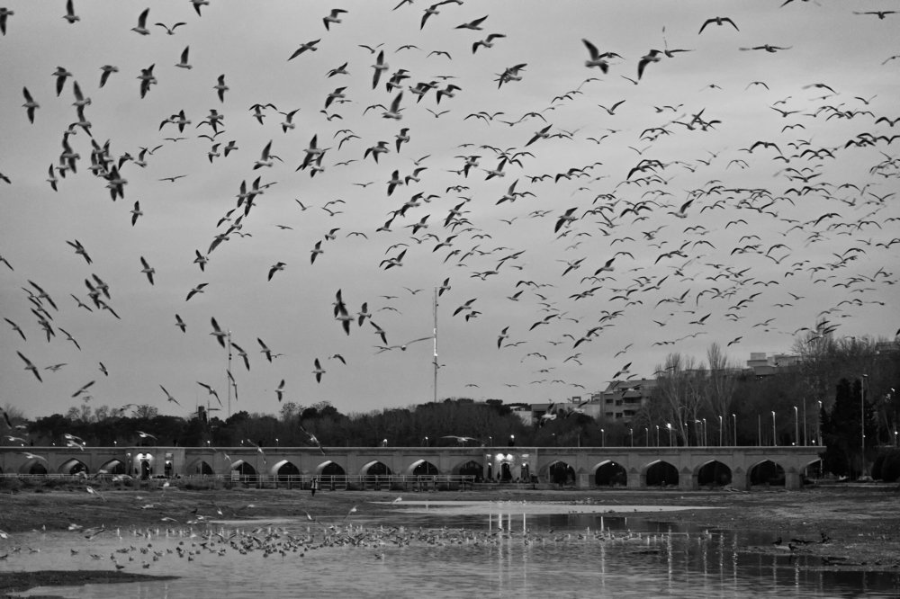 Photograph by Rasoul Soleimani