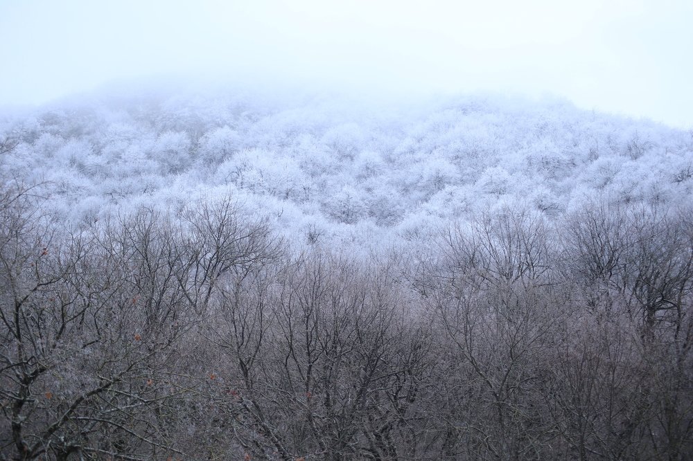 Photograph by Наталья Алескерова