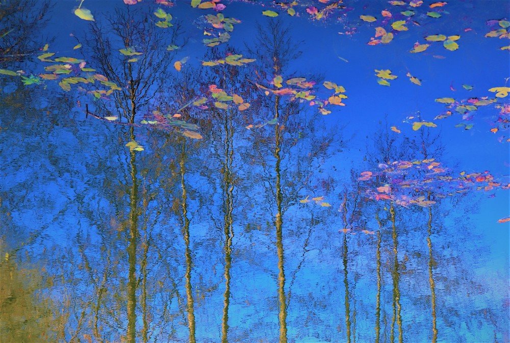 "Вот такой фокус" - картина на речной воде.