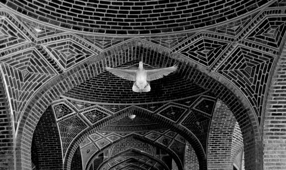 Photograph by Maede rezayi