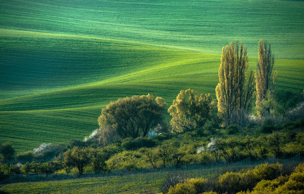 Photograph by ПАВЕЛ