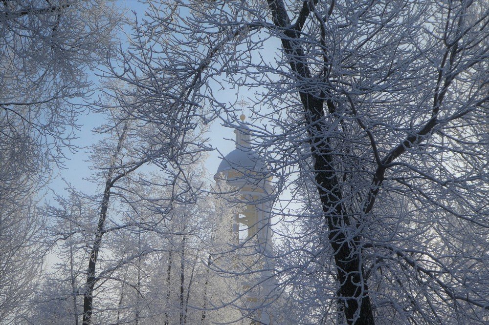Photo #4407221
