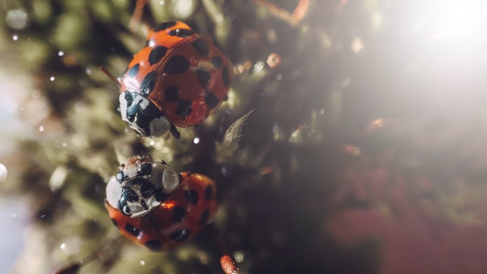 Photograph by Ольга Мурзина