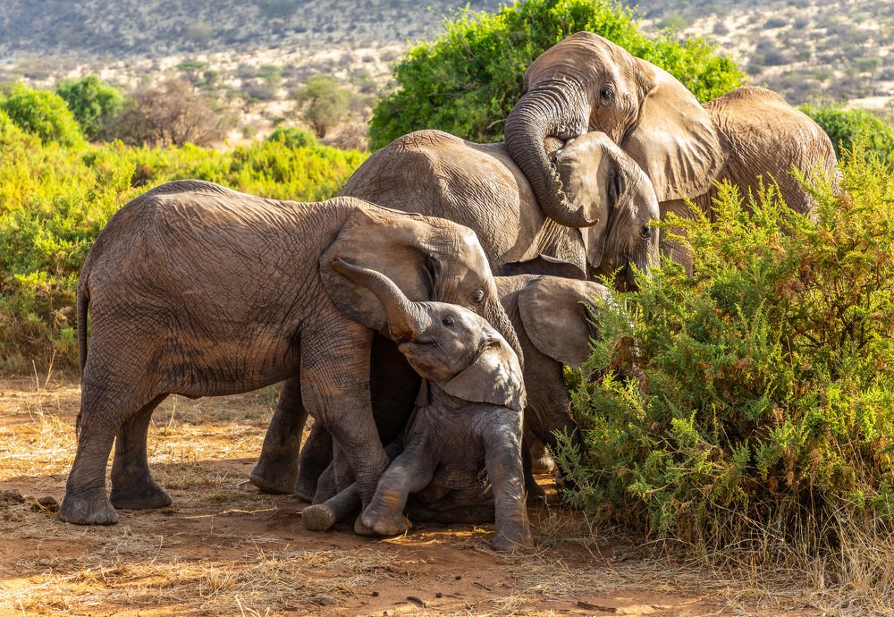 Photograph by АНДРЕЙ ВАГАНОВ