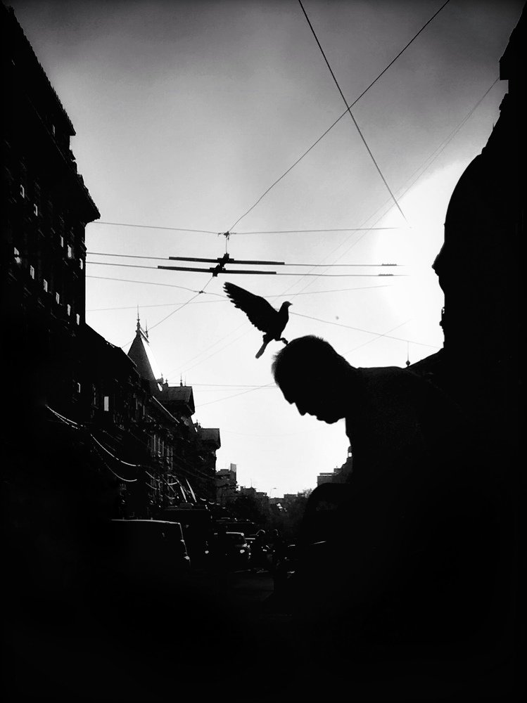 Photograph by Paul Suciu