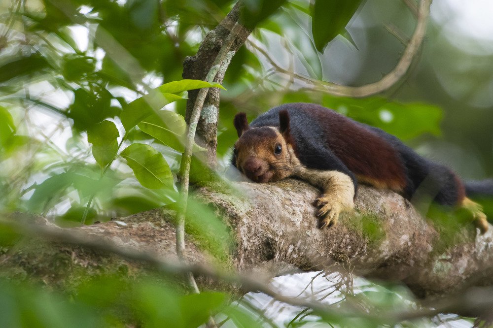 Photograph by Sunil Nair