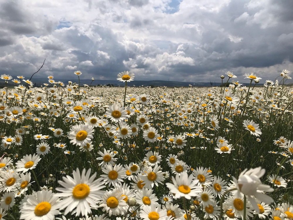 Photograph by Аметка Эдем