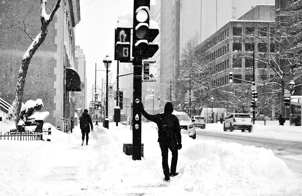 Braving the Elements