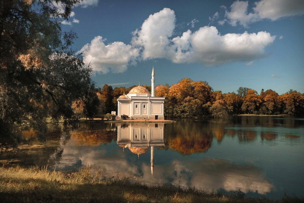 Фотография автора Анатолий Дауров