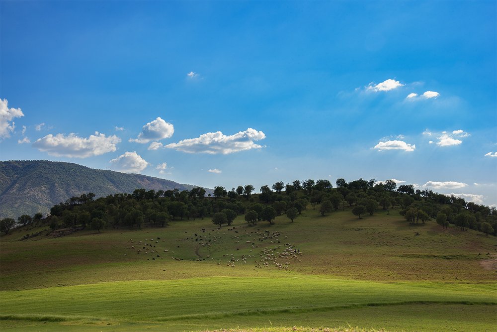 Photograph by Ebrahim Farhadnejad