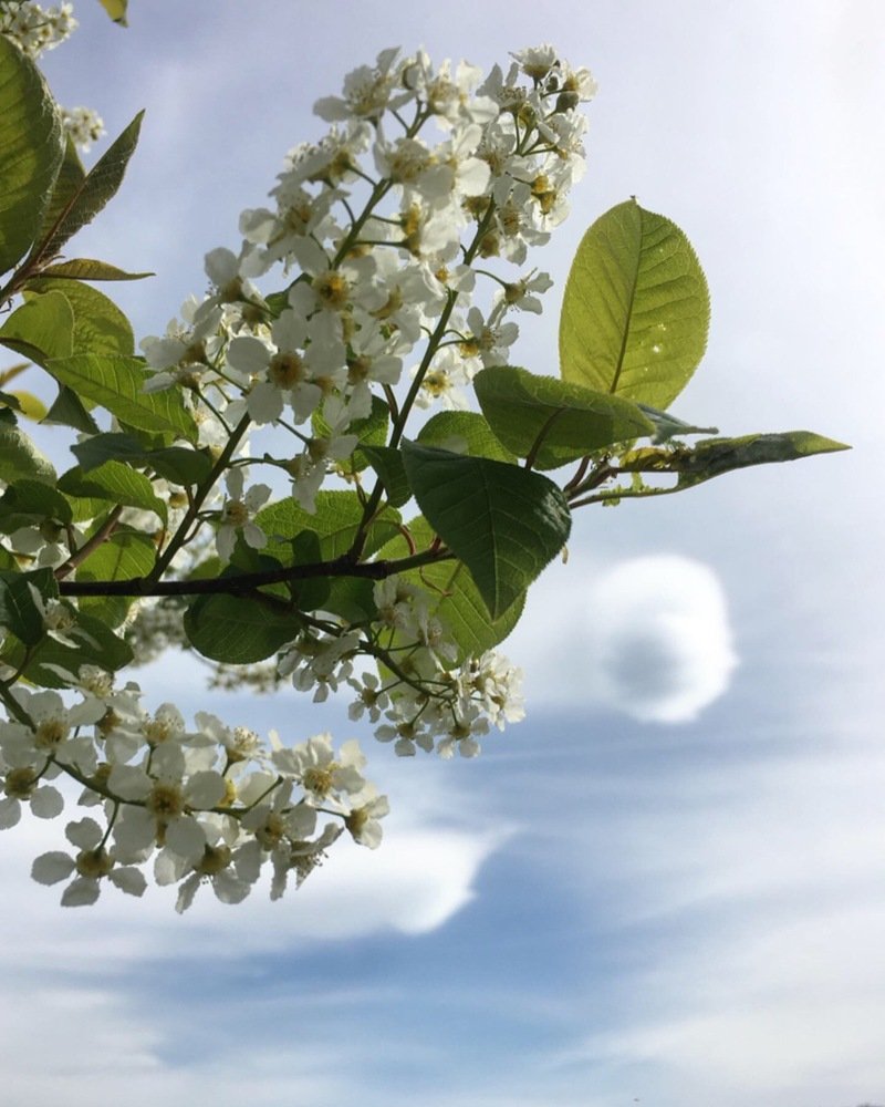 Удивительное небо