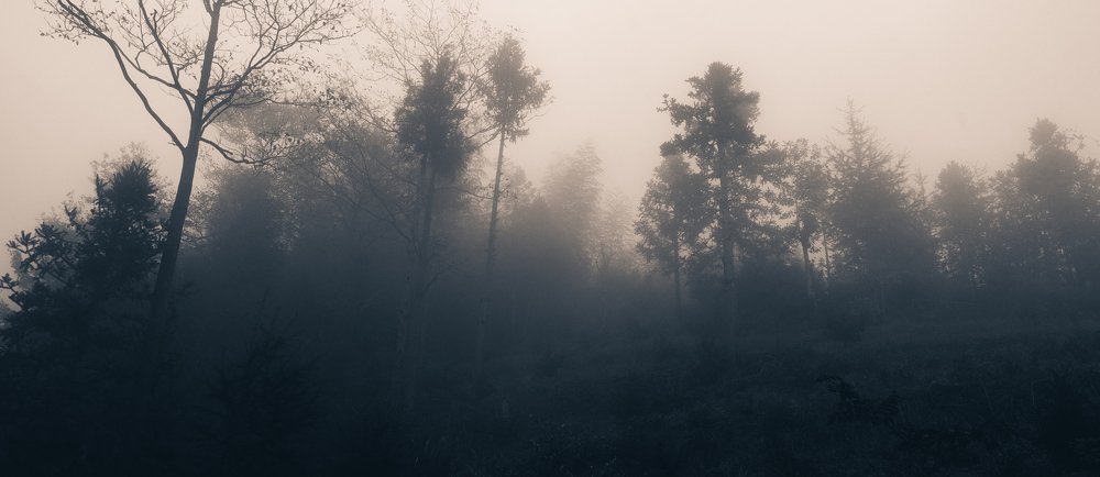 Photograph by sasha K