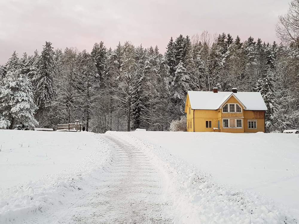 Photograph by Betania María Gudiño Arrocha