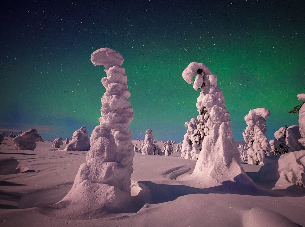 Ночные стражи зимы.