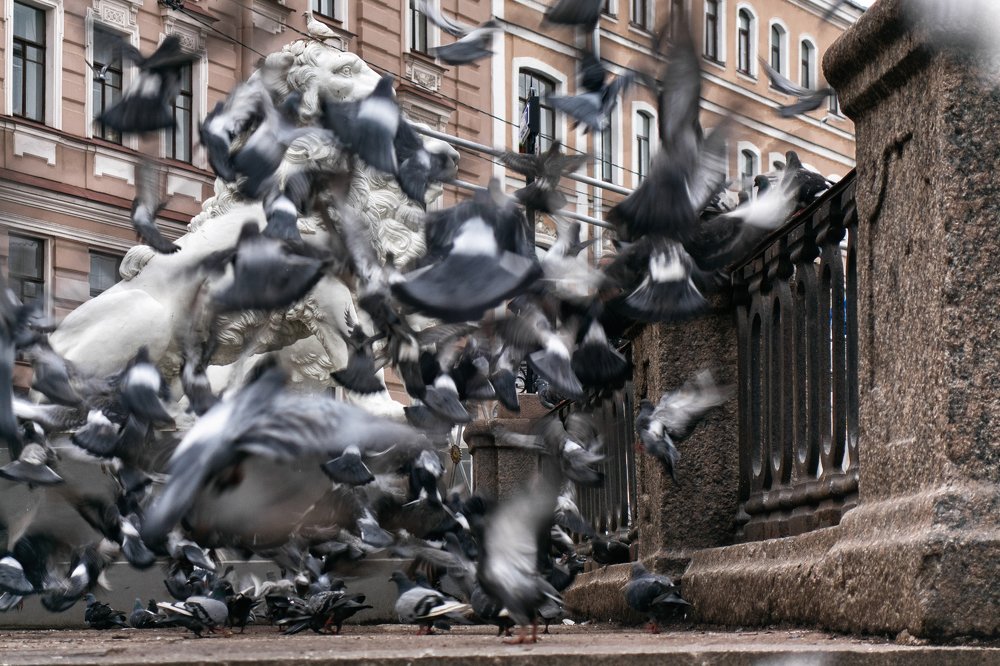 Photograph by Дарья Абрамова