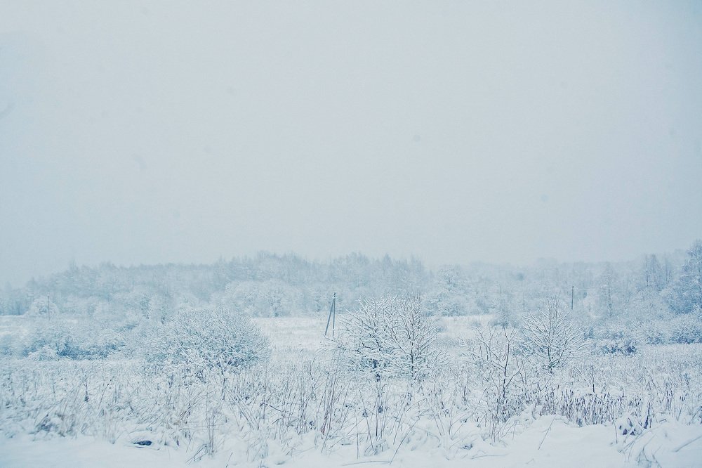 Photograph by Ольга Мурзина