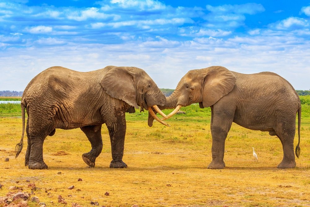 Photograph by Raghavendra Joshi